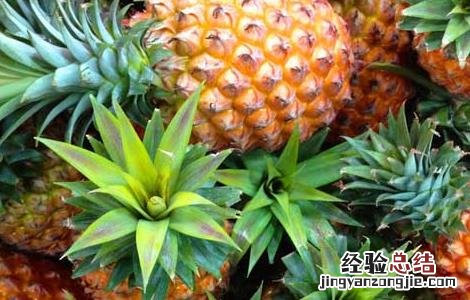 吃菠萝的好处和坏处 宝宝吃菠萝的好处和坏处
