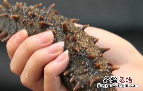 干海参怎么保存? 干海参怎么保存放冷冻还是冷藏