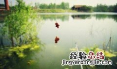 春季升温第一天好钓鱼吗 春季升温第一天好钓鱼吗