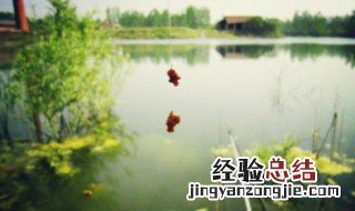 春季升温第一天好钓鱼吗 春季升温第一天好钓鱼吗