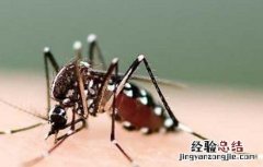 被蚊子咬了怎么止痒消肿 冬天被蚊子咬了怎么止痒消肿