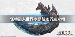 怪物猎人世界冰原斩龙弱点属性 怪物猎人世界冰原斩龙弱什么属性