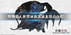 怪物猎人世界冰原溟波龙弱点介绍 怪物猎人世界冰原溟波龙弱什么