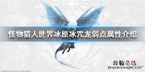 怪物猎人世界冰原冰咒龙弱点属性介绍 冰咒龙资料一览_网