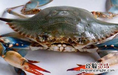 海蟹死了能吃吗? 海蟹死了能吃吗