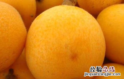 吃枇杷可以治疗咳嗽吗 枇杷怎么吃可以治疗咳嗽