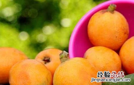 吃枇杷可以治疗咳嗽吗 枇杷怎么吃可以治疗咳嗽