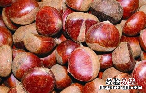 板栗怎么保存 板栗怎么保存可以放一年