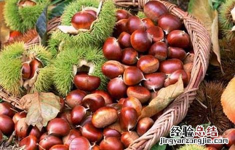板栗怎么去皮快 板栗怎么去皮快速