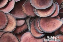 鹿茸片的正确吃法 鹿茸