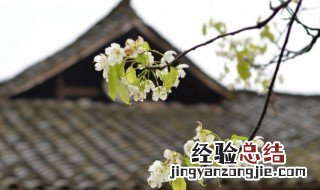 清明英烈寄语留言 清明对英烈的留言