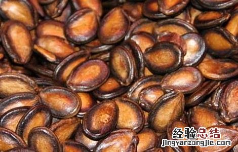 常吃坚果的好处有哪些 坚果的好处有哪些 每天吃坚果的好处