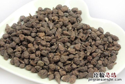 蕨麻 蕨麻图片