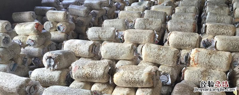 空置房子可以种植蘑菇吗 闲置的空房子养殖蘑菇