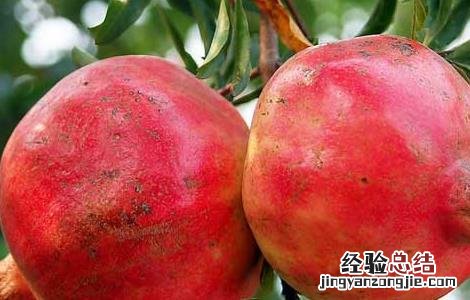 经常吃石榴上火吗 经常吃石榴上火吗怎么办