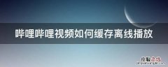 哔哩哔哩视频如何缓存离线播放 哔哩哔哩视频怎样离线缓存