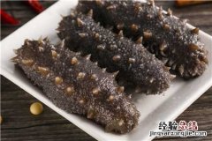 鲜海参怎么保存 鲜海参怎么保存冰箱里