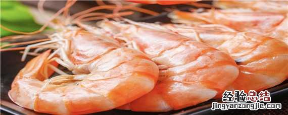 虾卵变成小虾的过程视频 虾卵变成小虾的过程