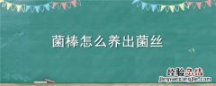菌棒怎么养出菌丝 菌棒怎么养出菌丝呢