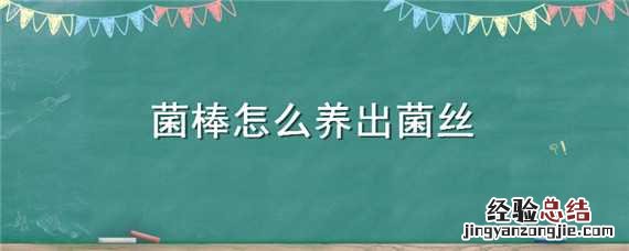 菌棒怎么养出菌丝 菌棒怎么养出菌丝呢