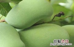 芒果吃多了会怎么样 芒果吃多了会怎么样 芒果吃法介绍