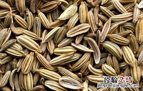 五香是指那五种香料 香料中的五香是指哪五香