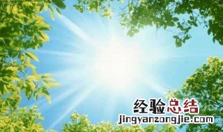 阳光励志的语录 有关阳光励志的语录