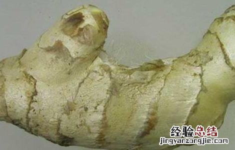 生姜去痘印是真的吗 生姜片去痘印真的可以吗?