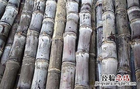 夏天吃什么可以降火消炎 夏天吃什么可以降火