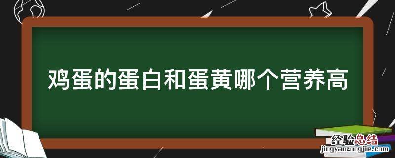 鸡蛋白营养高还是蛋黄营养高 鸡蛋的蛋白和蛋黄哪个营养高