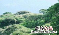 贵州哪些景区有故事传说 贵州有什么故事
