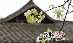小手拉大手网上祭英烈寄语