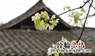 小手拉大手网上祭英烈寄语