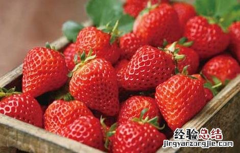 夏天吃什么水果最好请你放出视频 夏天吃什么水果最好