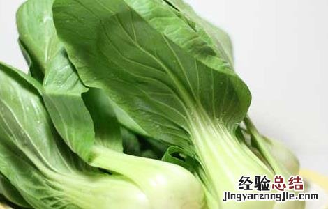 夏天吃什么蔬菜最好 夏天吃什么蔬菜最好窍门