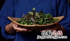 手工春茶的制作方法 手工春茶怎么制作