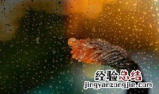 夜雨寄北原文翻译加注释 夜雨寄北原文翻译