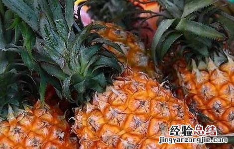 菠萝为什么要用盐水泡?原因在这里 菠萝为什么要用盐水泡?