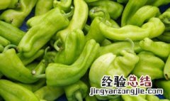 剁椒焖尖椒 剁椒炒尖辣椒