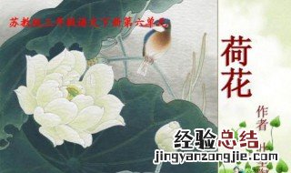 三年级课文荷花原文作者 送给需要的你