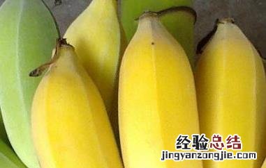 芭蕉的功效与作用禁忌 芭蕉的功效与作用