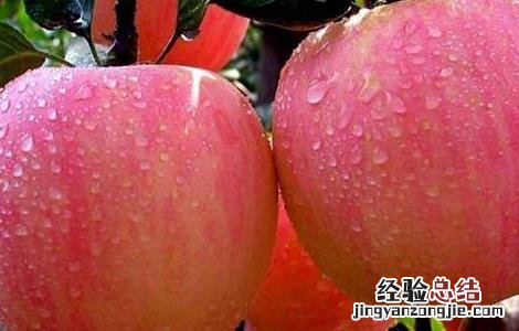 早上空腹吃苹果好吗 早上空腹吃苹果的好处与坏处