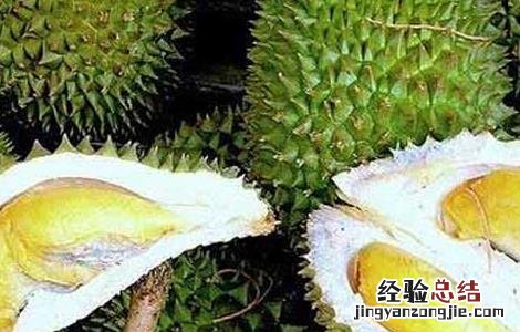 榴莲怎么吃最好吃视频 榴莲怎么吃最好