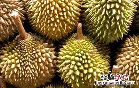 榴莲怎么吃最好吃视频 榴莲怎么吃最好