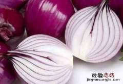 女人生吃洋葱有什么好处 女人生吃洋葱有什么好处和坏处