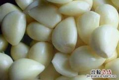 每天生吃大蒜有什么好处和坏处 生吃大蒜有什么好处和坏处
