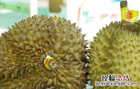 榴莲不能和什么一起吃会中毒 榴莲不能和什么一起吃
