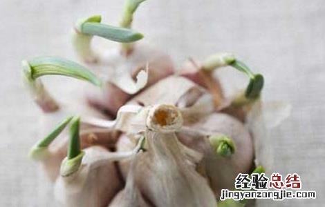 剥好的大蒜发芽能吃吗 大蒜发芽能吃吗