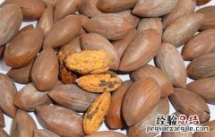 嵊州香榧怎么吃 香榧怎么吃