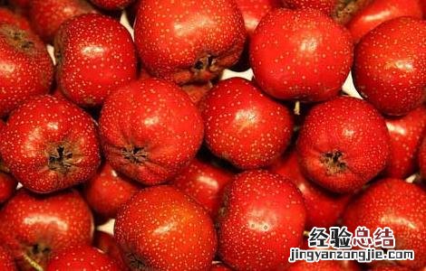 怎样吃山楂才能减肥 怎样吃山楂才能减肥呢